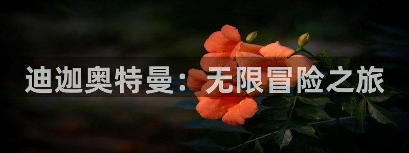 杏宇注册平台登录