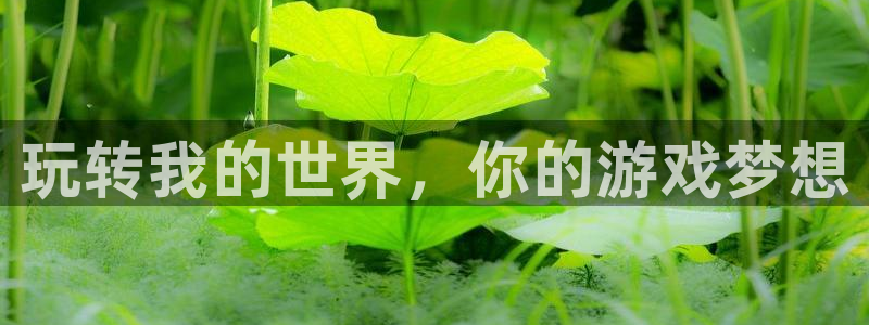 杏宇娱乐登录官网