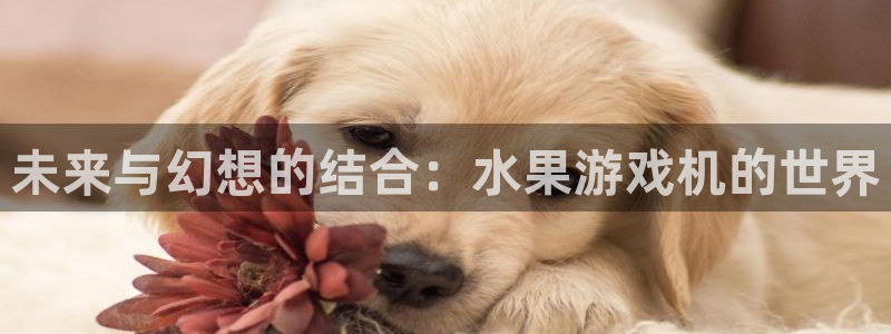 杏宇娱乐登录官网网址是什么：未来与幻想的结合：水果游戏机的世