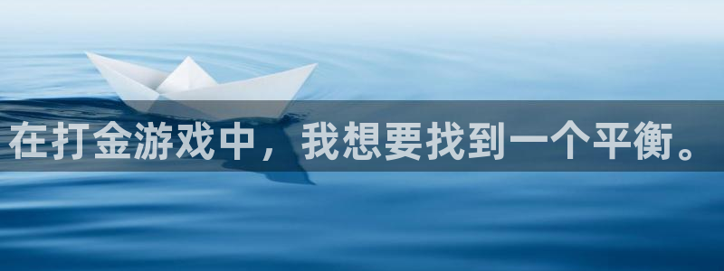 杏宇平台登陆：在打金游戏中，我想要找到一个平衡。