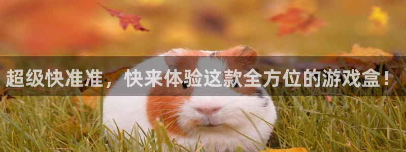 杏宇娱乐平台最新版下载苹果手机