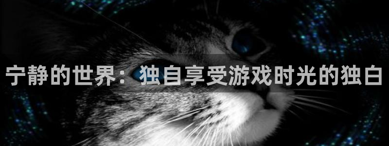杏宇娱乐总代理：宁静的世界：独自享受游戏时光的独白