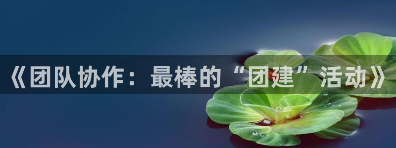 杏宇总代理