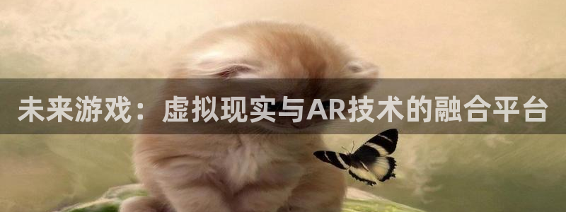 杏宇总代理