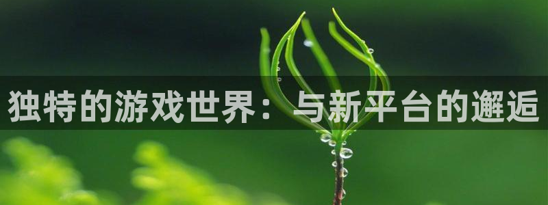 杏宇平台代理注册