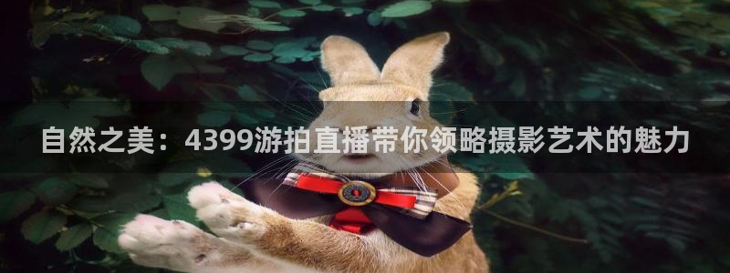 熊猫直播app：自然之美：4399游拍直播带你领略摄影艺术的魅力