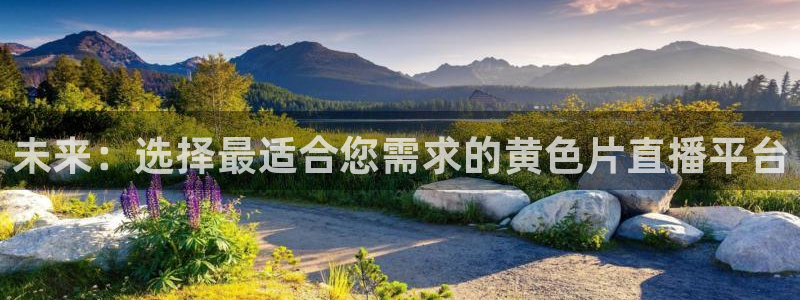 熊猫的歌曲：未来：选择最适合您需求的黄色片直播平台
