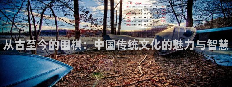 熊猫直播：从古至今的围棋：中国传统文化的魅力与智慧