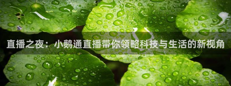 熊猫体育足球直播在线观看：直播之夜：小鹅通直播带你领略科技与生活的新视角