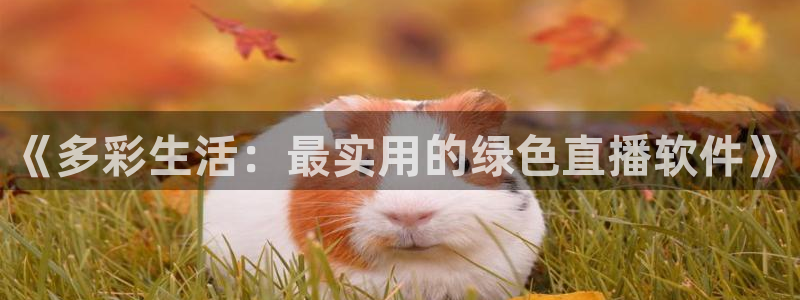 熊猫直播免费视频