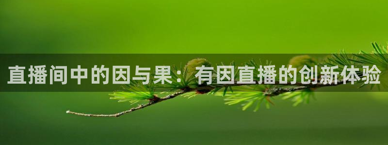 熊猫体育平台