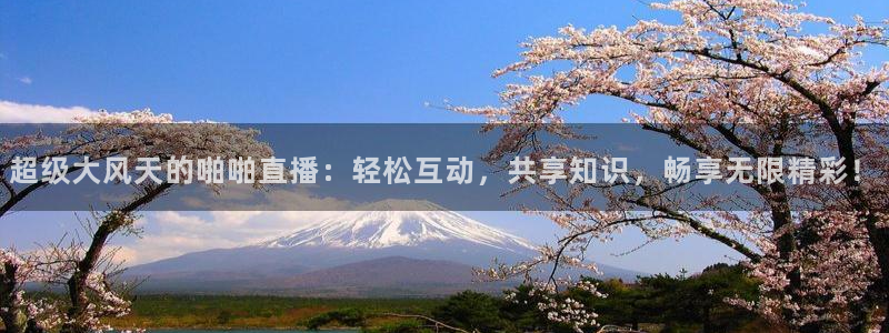 熊猫体育app下载安装