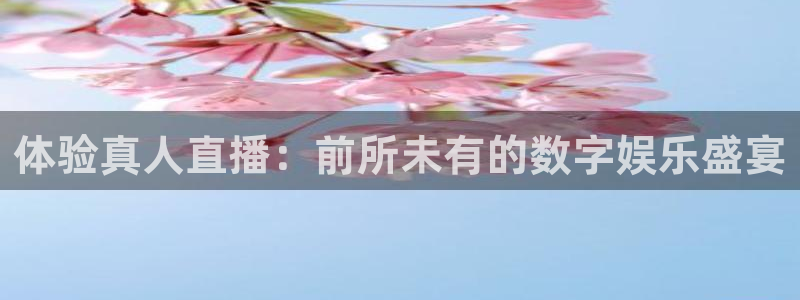 熊猫直播平台官网