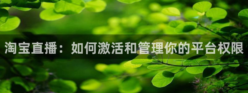 熊猫直播平台：淘宝直播：如何激活和管理你的平台权限