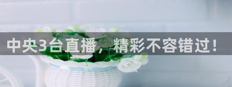 熊猫主播视频：中央3台直播，精彩不容错过！