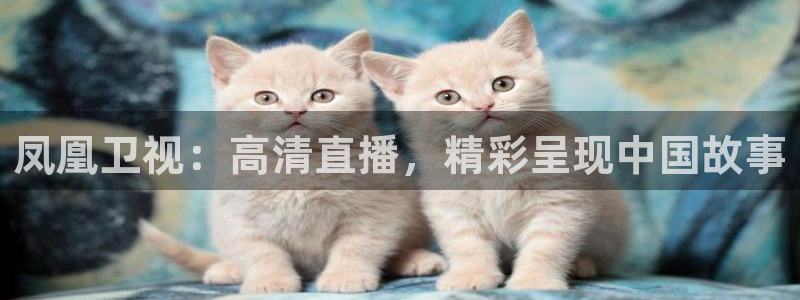 熊猫体育平台官网：凤凰卫视：高清直播，精彩呈现中国故事