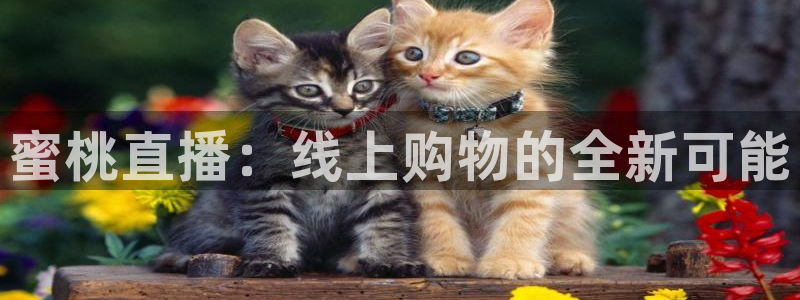 熊猫主播视频：蜜桃直播：线上购物的全新可能