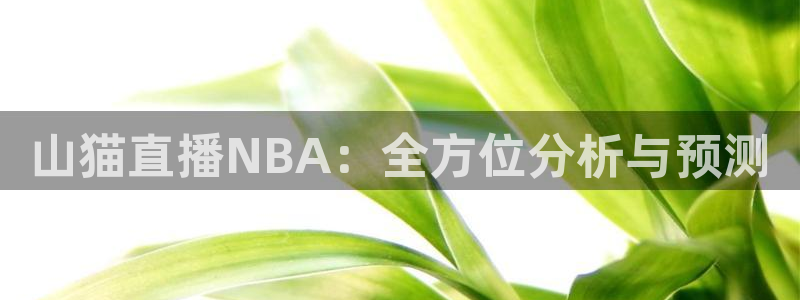 下载熊猫直播app：山猫直播NBA：全方位分析与预测