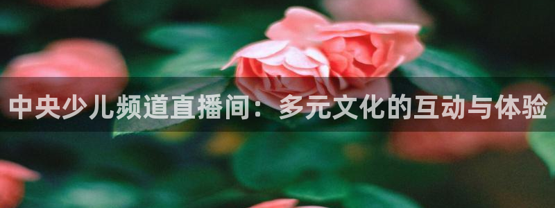 熊猫体育app下载：中央少儿频道直播间：多元文化的互动与体验