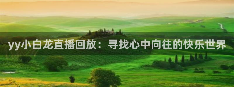 熊猫体育平台直播：yy小白龙直播回放：寻找心中向往的快乐世界